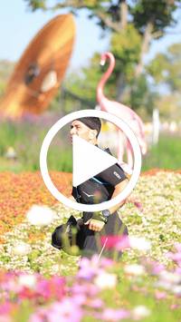 BIB:  <button type="button" onclick="openModal(27583574)" class="btn btn-primary btn-sm float-right" data-toggle="modal" data-target=".modal-high-quality">
                <i class="fa fa-download"></i> Download
                </button>